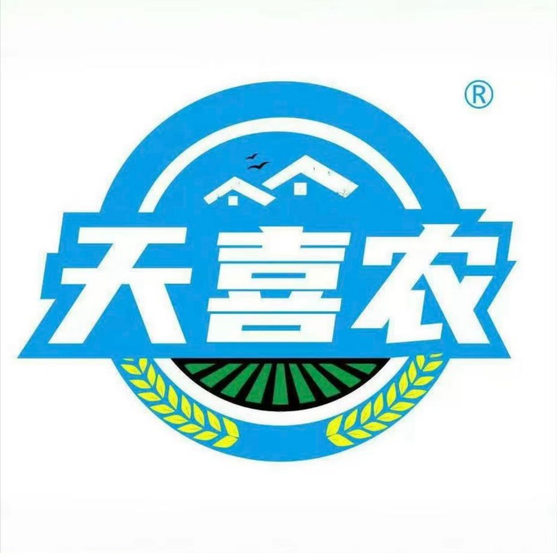 Tianxi Nong