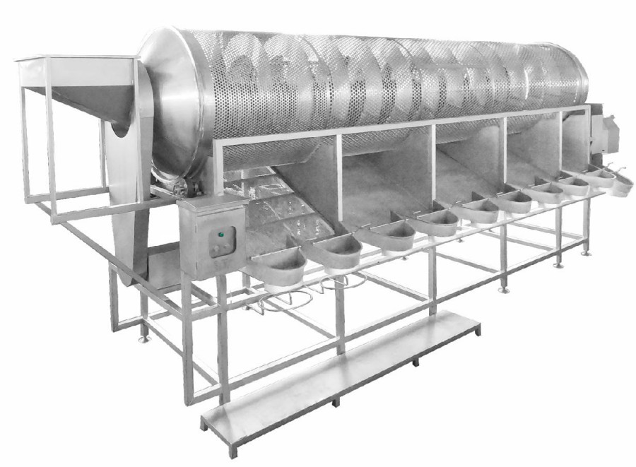 Strawberry grading machine