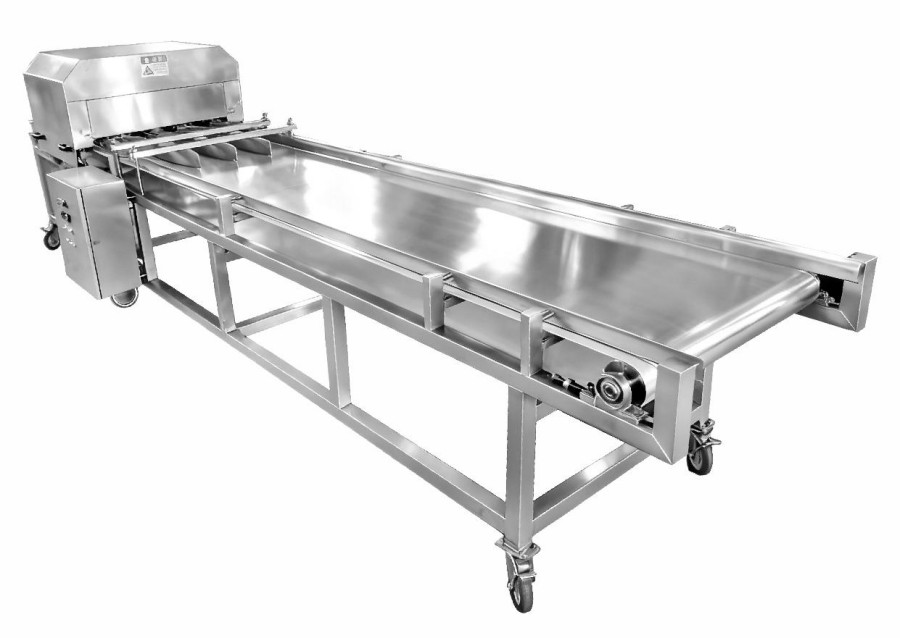 Peach Slicing Machine