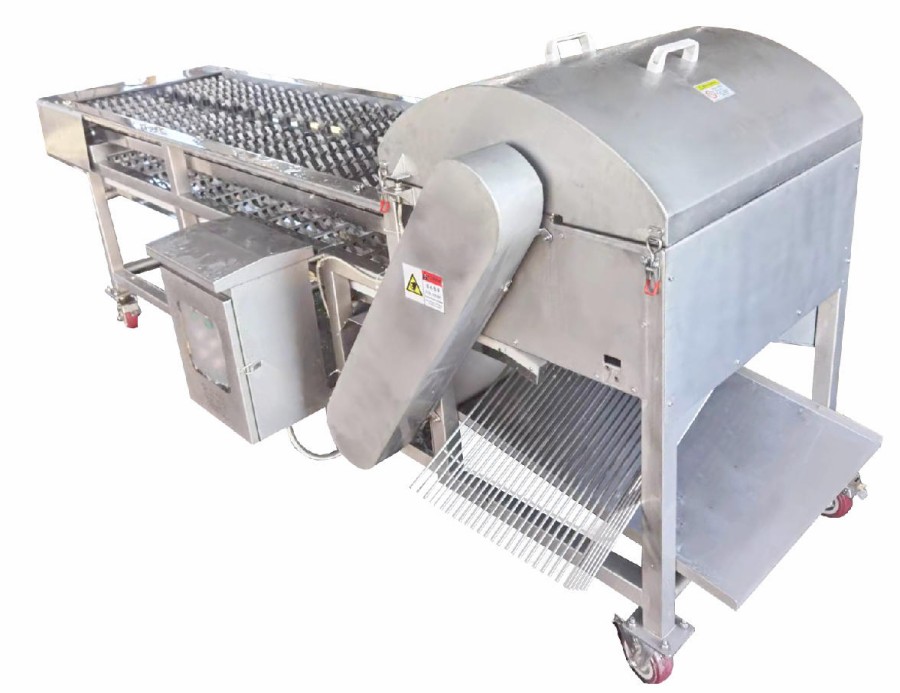 Corn cutter