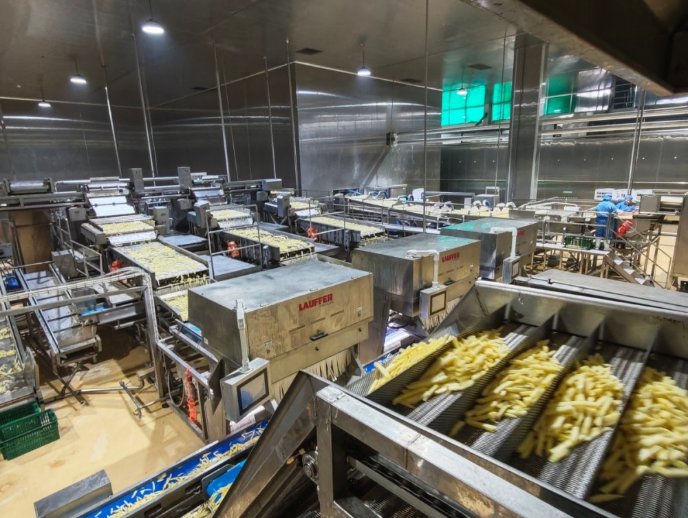 Successful case studies of Qingdao Shengjia's integrated deep-fried potato projects with capacities of 8T/h and 3T/h.