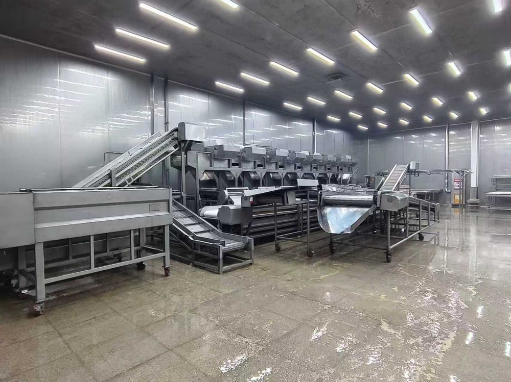 Successful Case Study of Shandong Santao Food Fruit and Vegetable Processing Production Line Project